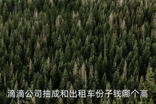 滴滴公司抽成和出租車份子錢哪個高