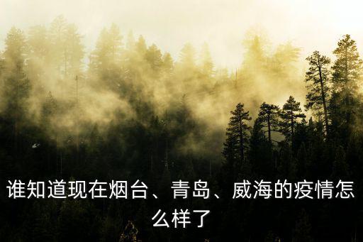 誰知道現在煙臺、青島、威海的疫情怎么樣了