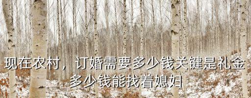 金華市農(nóng)村人訂婚要多少禮金,農(nóng)村結(jié)婚要彩禮錢
