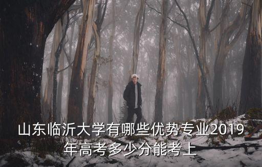 臨沂護理職業學院高考多少分,山東臨沂大學有哪些優勢專業