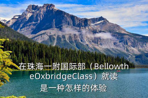 在珠海德威國際高中就讀是怎么,在珠海一附國際部