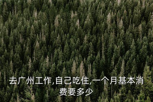 去廣州工作,自己吃住,一個月基本消費(fèi)要多少