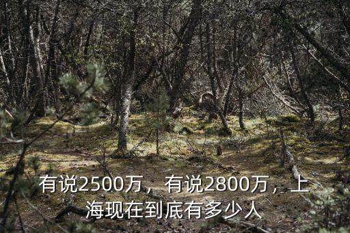 2020年青島市多少萬人口,有說2500萬