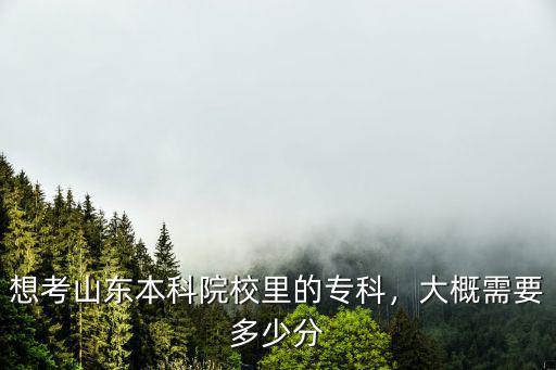 想考山東本科院校里的專科，大概需要多少分