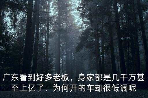 廣東看到好多老板，身家都是幾千萬甚至上億了，為何開的車卻很低調(diào)呢