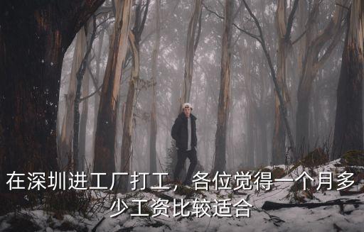 深圳工廠無經驗進去又多少工資,在深圳進工廠打工