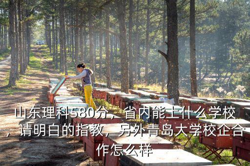 19年青島大學校企合作多少分,另外青島大學校企合作怎么樣