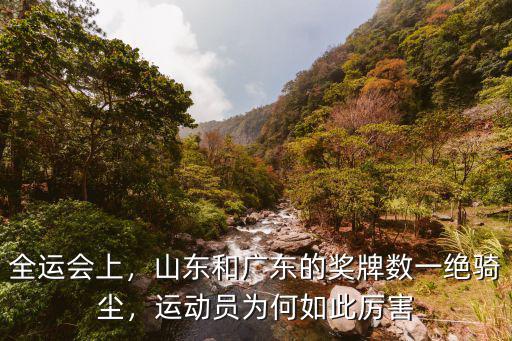 廣東省全運會有多少運動員,全運會僅次于奧運會