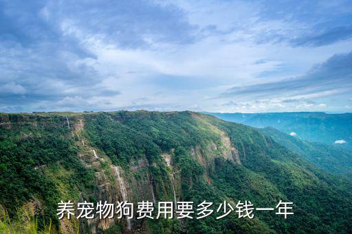 養寵物狗費用要多少錢一年