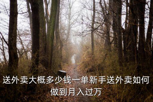 嘉興外賣單多少錢一單,新手送外賣如何做到月入過萬