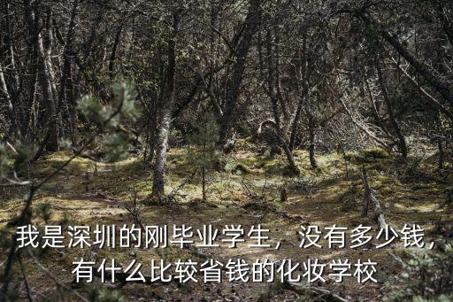 深圳化妝學校的培訓班多少錢一個月,學化妝要多少錢