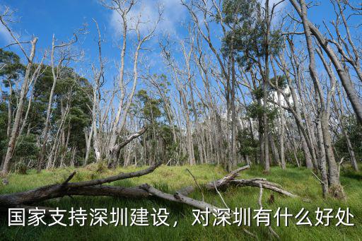 深圳中能建設怎么樣,國家支持深圳建設