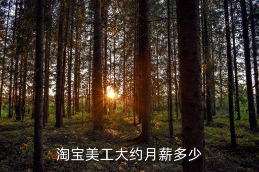 深圳美工最高工資多少,淘寶美工大約月薪多少