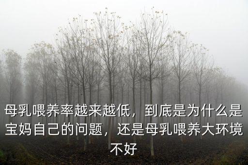 廣州母乳喂養率多少,母乳喂養好處多