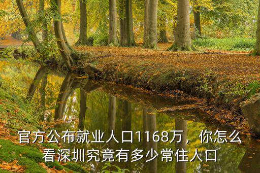 深圳區人口有多少,深圳究竟有多少常住人口