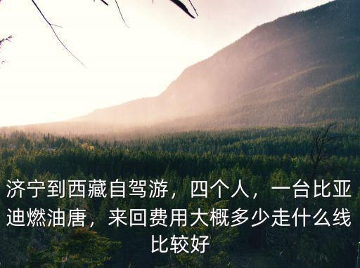 北京開車到濟(jì)寧費用是多少費用多少,來回大概多少費用
