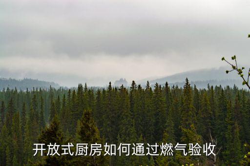 中山開放式廚房怎么驗收,開放式廚房如何通過燃氣驗收