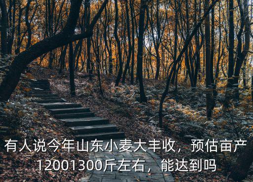 威海大叔畝產多少斤,預估畝產1200