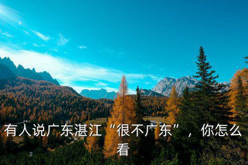 廣東湛江富宇貿(mào)易怎么樣,有人說(shuō)廣東湛江很不廣東