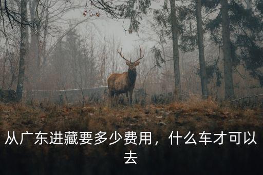 揭陽到西藏要多少過路費,從廣東進藏要多少費用