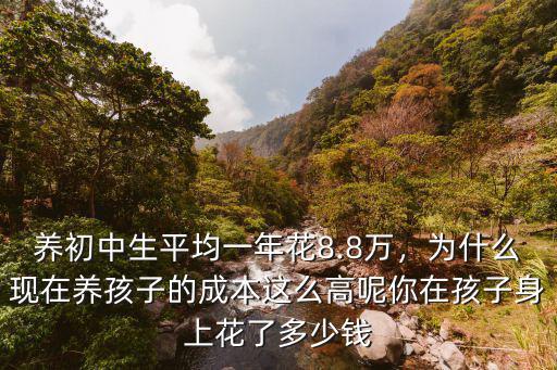 養初中生平均一年花8.8萬，為什么現在養孩子的成本這么高呢你在孩子身上花了多少錢