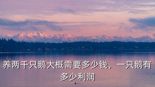 菏澤大鵝鵝蛋多少錢一個(gè),一只鵝有多少利潤