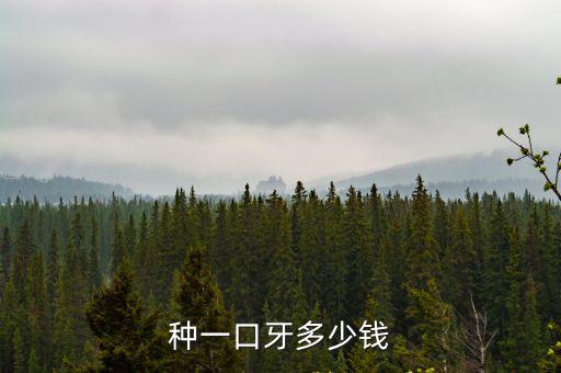 種一口牙多少錢