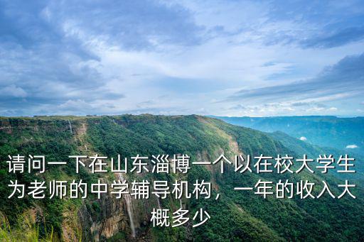 請問一下在山東淄博一個以在校大學生為老師的中學輔導機構，一年的收入大概多少