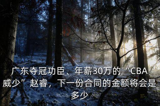 廣東奪冠功臣、年薪30萬的“CBA威少”趙睿，下一份合同的金額將會是多少