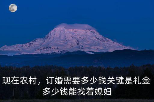 紹興訂婚到結婚要花多少錢,訂婚需要多少錢