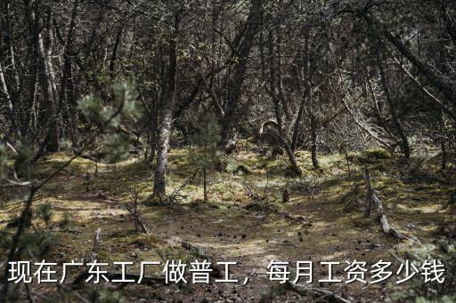 廣東開廠老板工資多少錢,每月工資多少錢