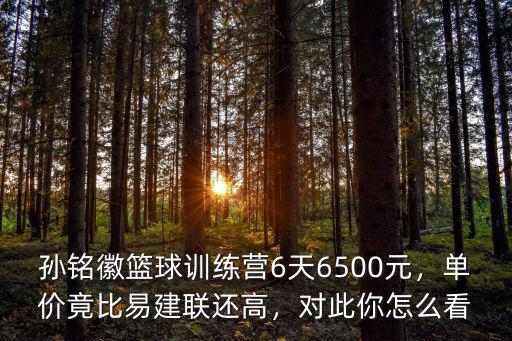 青島籃球訓練營多少錢,能夠賺到多少錢
