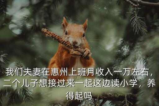 我們夫妻在惠州上班月收入一萬左右，二個(gè)兒子想接過來一起這邊讀小學(xué)，養(yǎng)得起嗎
