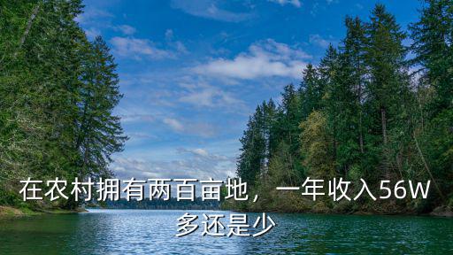 在農村擁有兩百畝地，一年收入56W多還是少