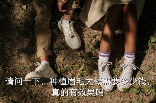 請問一下，種植眉毛大概需要多少錢，真的有效果嗎