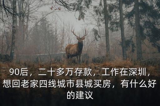 深圳回老家多少存款合適,目前糾結回老家還是留深圳
