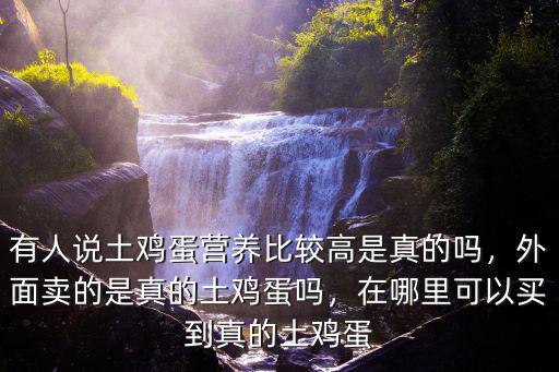 有人說土雞蛋營養(yǎng)比較高是真的嗎，外面賣的是真的土雞蛋嗎，在哪里可以買到真的土雞蛋