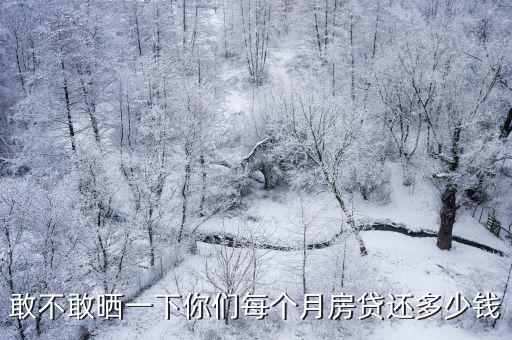 敢不敢曬一下你們每個月房貸還多少錢
