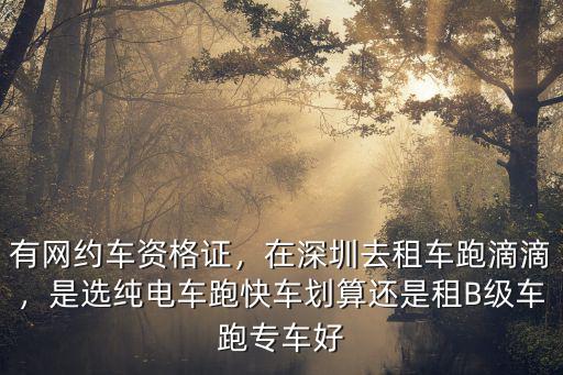 有網約車資格證，在深圳去租車跑滴滴，是選純電車跑快車劃算還是租B級車跑專車好