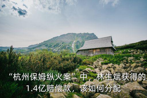 “杭州保姆縱火案”中，林生斌獲得的1.4億賠償款，該如何分配