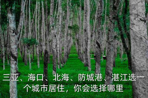 湛江哪里的城市最好,湛江選一個城市居住