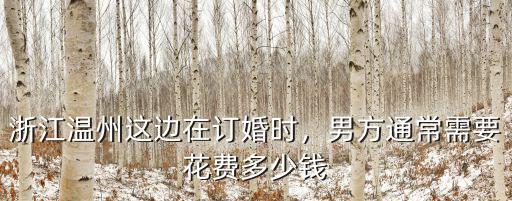 浙江溫州這邊在訂婚時，男方通常需要花費多少錢