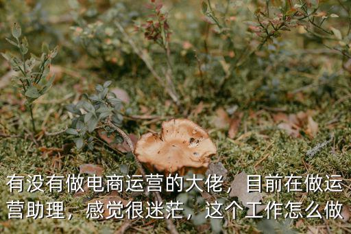 有沒有做電商運營的大佬，目前在做運營助理，感覺很迷茫，這個工作怎么做