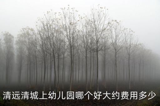 清遠公立小學學費多少錢,現在上小學一年級要交多少錢