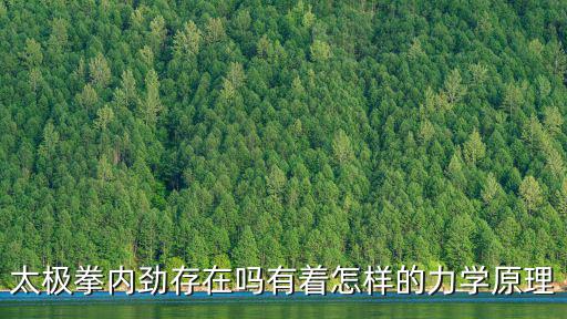 廣州天道內(nèi)勁太極拳怎么樣,太極拳的內(nèi)勁是怎么練出來(lái)的