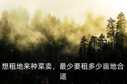 中山租地種菜多少錢1畝,想租地來種菜賣