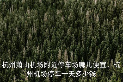 杭州蕭山機(jī)場(chǎng)亭車(chē)多少錢(qián)一小時(shí),蕭山機(jī)場(chǎng)停車(chē)場(chǎng)最新收費(fèi)是