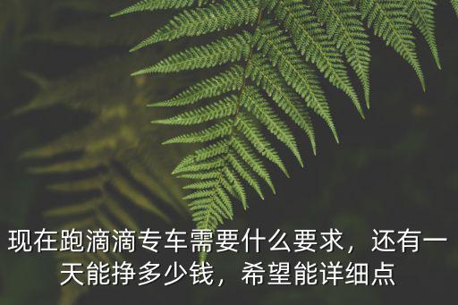 現(xiàn)在跑滴滴專車需要什么要求，還有一天能掙多少錢，希望能詳細點