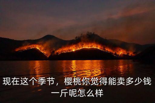 現在這個季節，櫻桃你覺得能賣多少錢一斤呢怎么樣