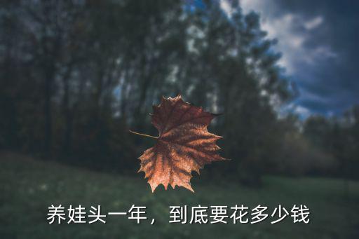 養(yǎng)娃頭一年，到底要花多少錢